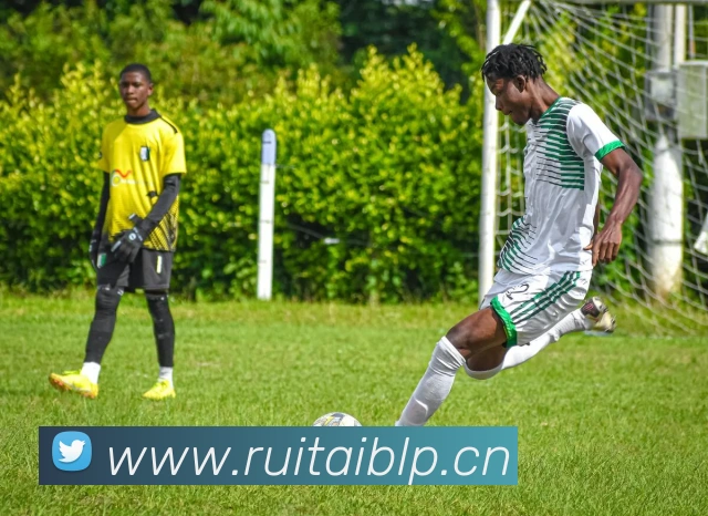 beat365唯一官方网站服务体系